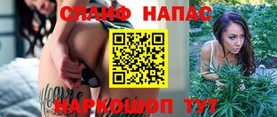 дурь Кингисепп