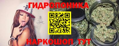 дурь Кингисепп