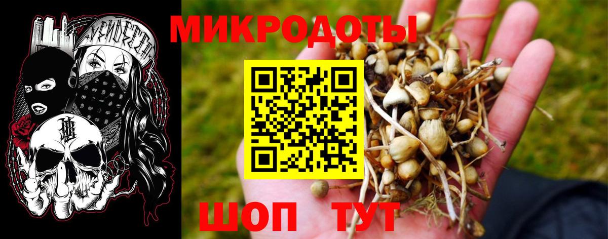 Химки  Псилоцибиновые грибы Psilocybine cubensis  Галлюциногенные грибы ЛСД  Вход с VPN 