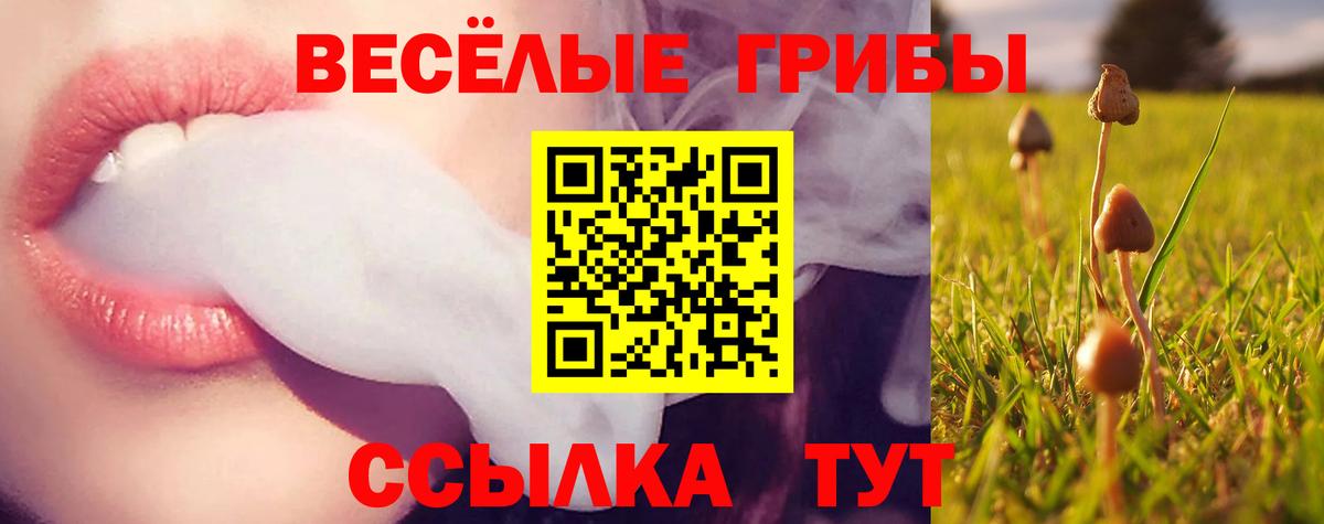 Псилоцибиновые грибы мухоморы Химки